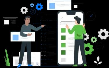 Software & Web Development